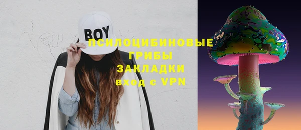 таблы Белокуриха